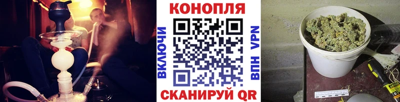 Бошки марихуана THC 21%  Купить где  Вольск 